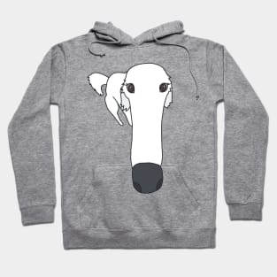 Tiktok Borzoi long nose dog without text Hoodie